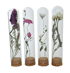 dry flower in tube